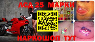 ALPHA PVP Новозыбков