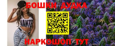 амф Новодвинск