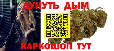 амф Новодвинск