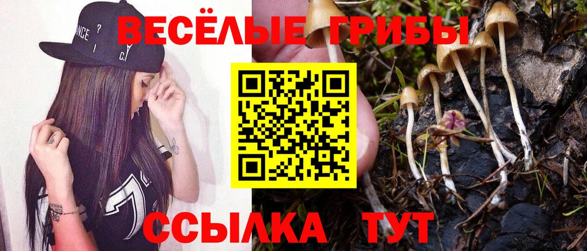 Псилоцибиновые грибы Magic Shrooms Ступино